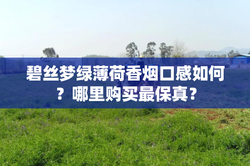 碧丝梦绿薄荷香烟口感如何？哪里购买最保真？